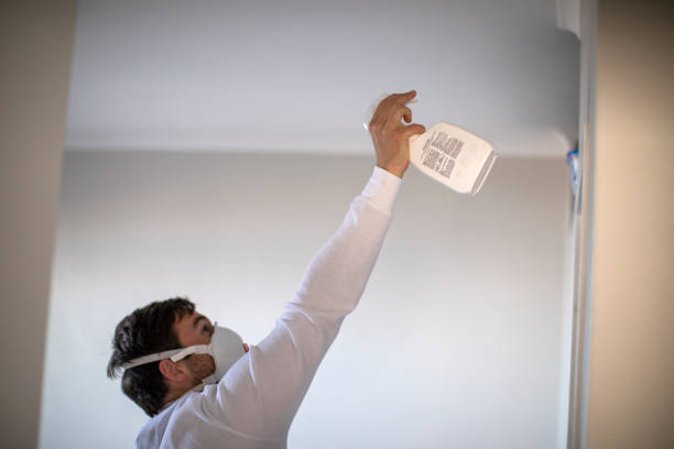 Trusted Glenolden, PA Mold Remediation Experts